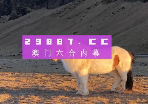 澳门正版资料免费,公开117期 01-04-05-43-44-49N：43