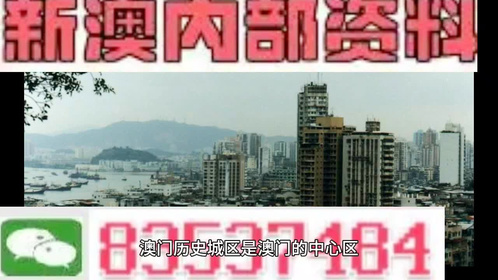 新澳门资料全年免费精准141期 05-19-26-30-45-48K：21