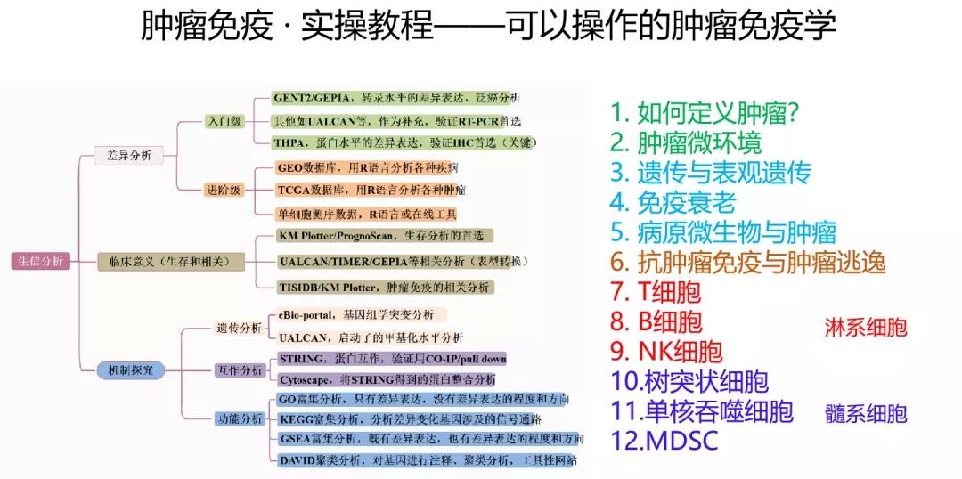 2025年正版资料免费大全优势106期 03-15-16-20-21-43R：16